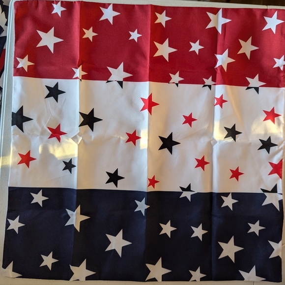 Choice Patriotic design pillow or cushion cover doily or wall hanging 17 x 17 - Picture 2 of 4